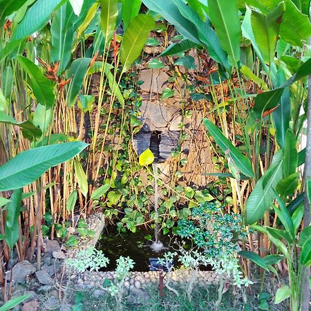 Rock Forest Goa Honeymoon Cottages กาลังกูติ ภายนอก รูปภาพ