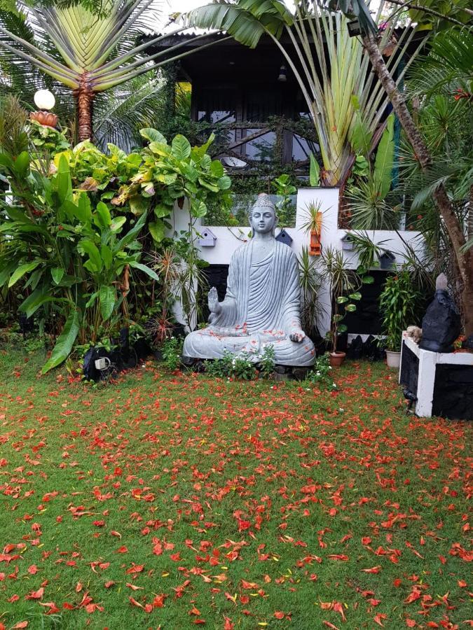 Rock Forest Goa Honeymoon Cottages กาลังกูติ ภายนอก รูปภาพ